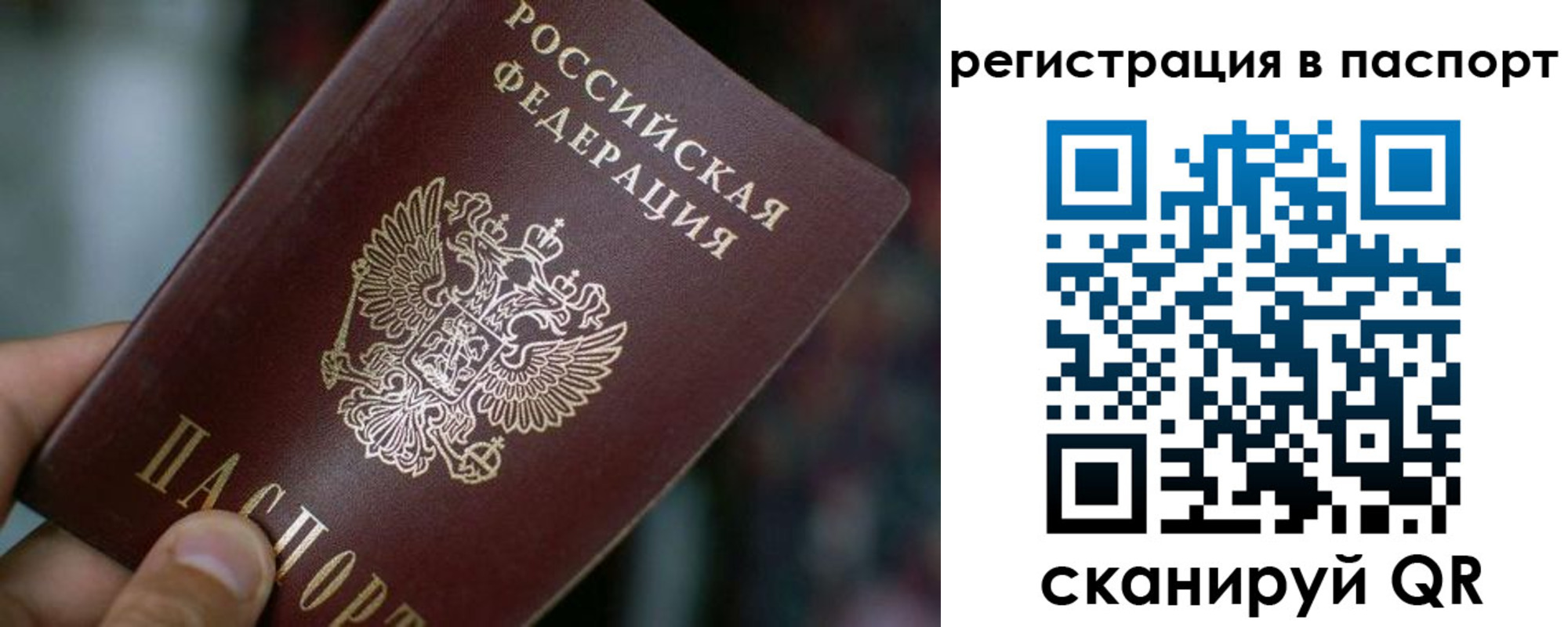 временная регистрация недорого в Россоши